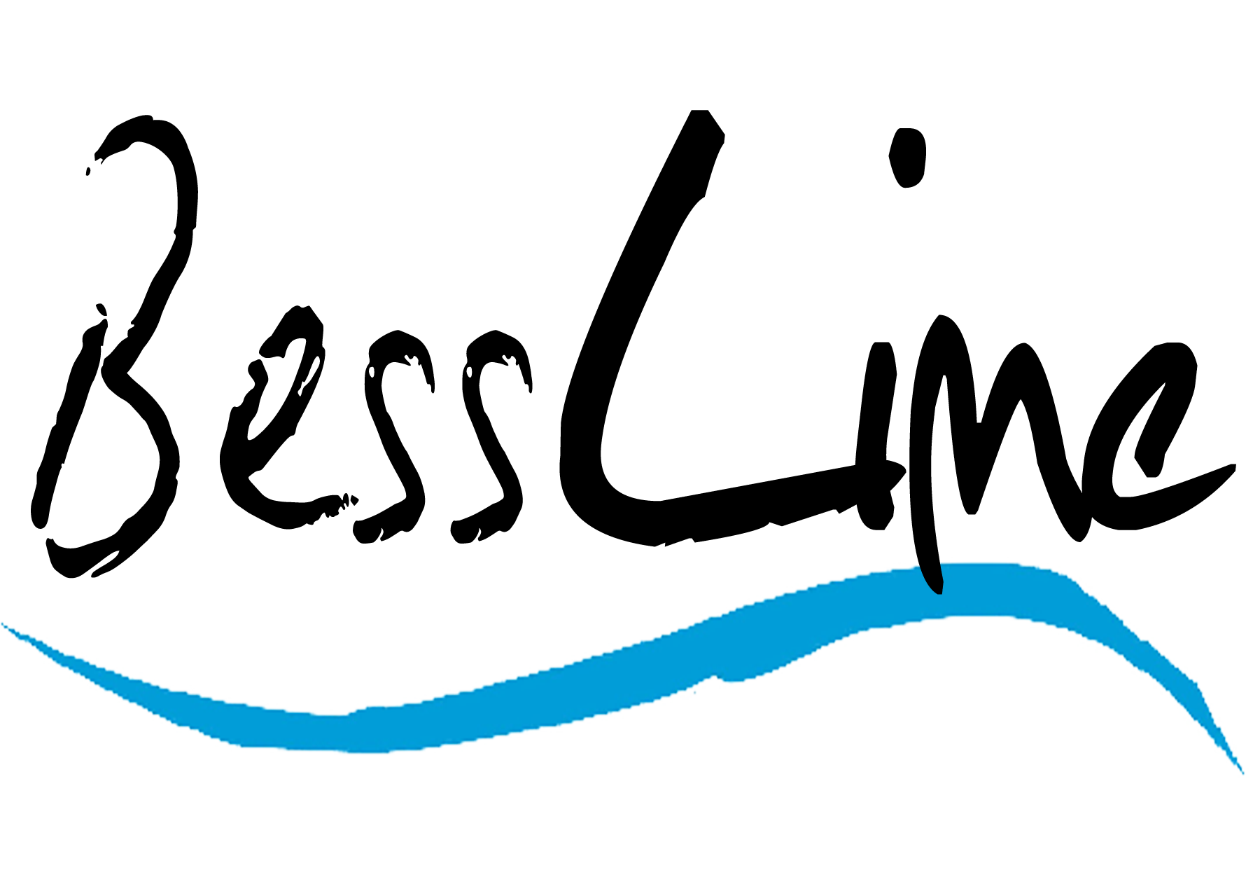 BessLime-rect-logo-transparent