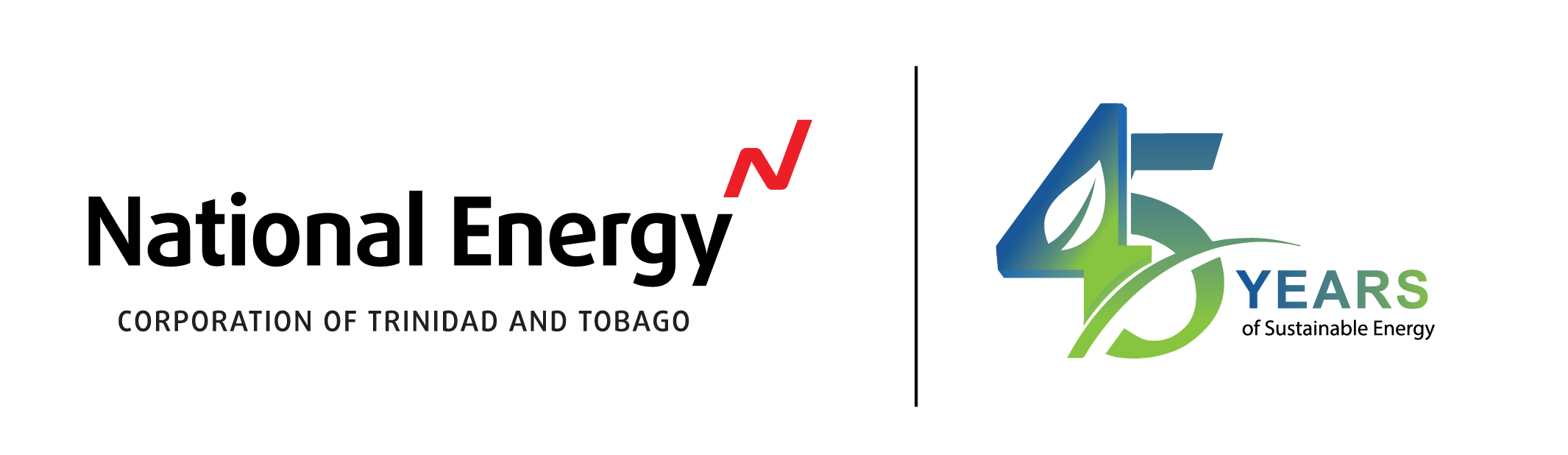NEC 45 Years logo-01 NEC 45 Years logo-01